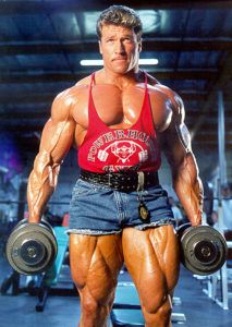 nandrolone decanoate (дека) от radjay pharm (250mg\10ml)